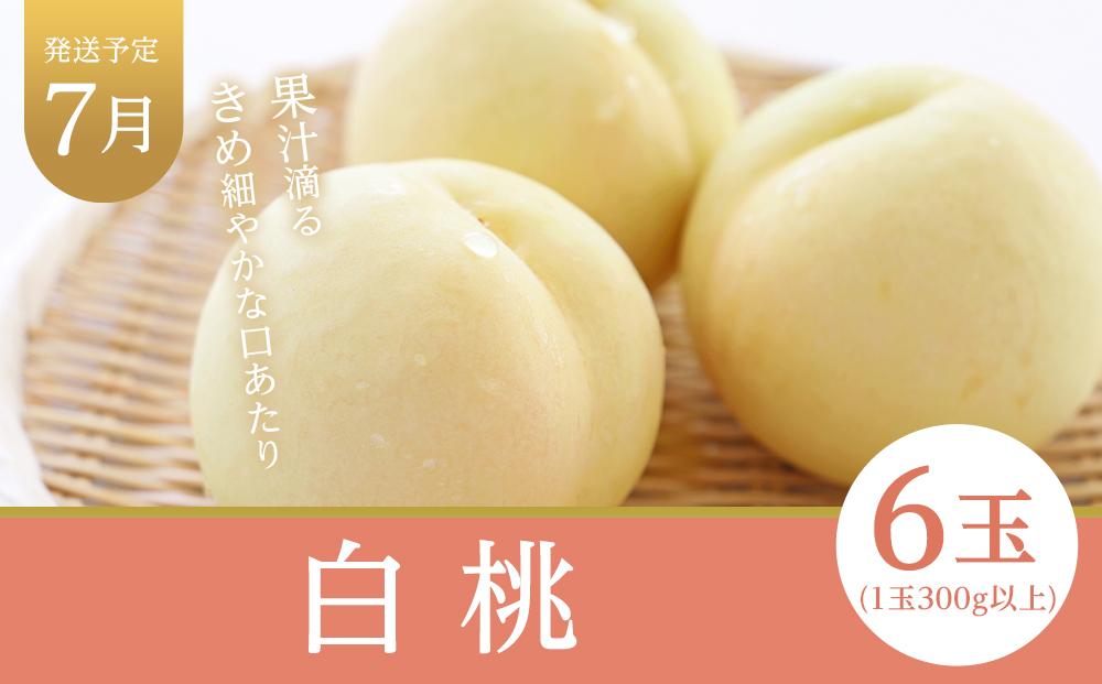 フルーツ 定期便 2024年 先行予約 晴れの国 岡山県産 旬のフルーツ定期便 6回コース 桃 もも 葡萄 ぶどう 梨 なし 岡山県産 国産 セット ギフト [No.5220-1091]