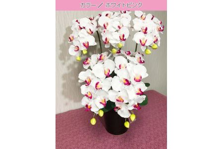 光触媒造花　胡蝶蘭　5本立