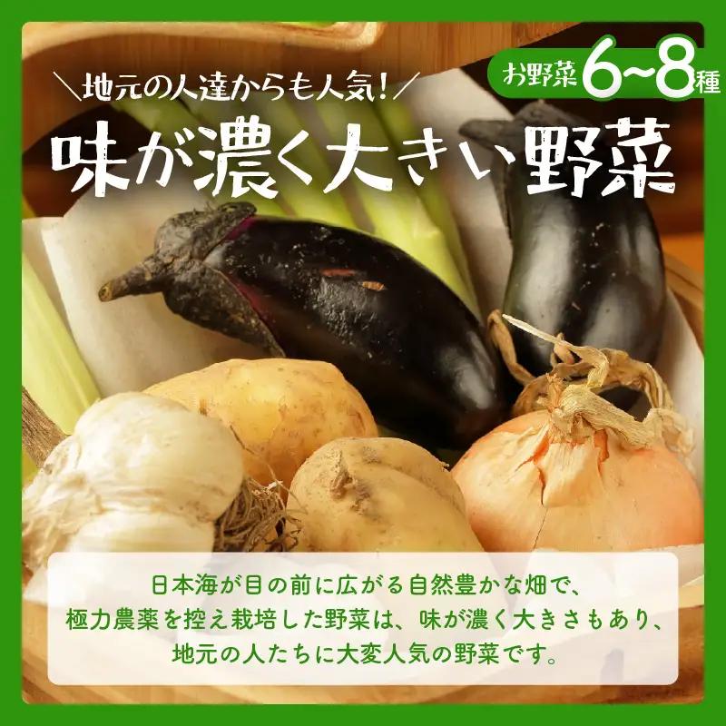 【先行予約】お野菜セット 旬の夏野菜と平飼い卵のお楽しみボックス【2026年7月上旬以降順次発送予定】 [m75-a002]
