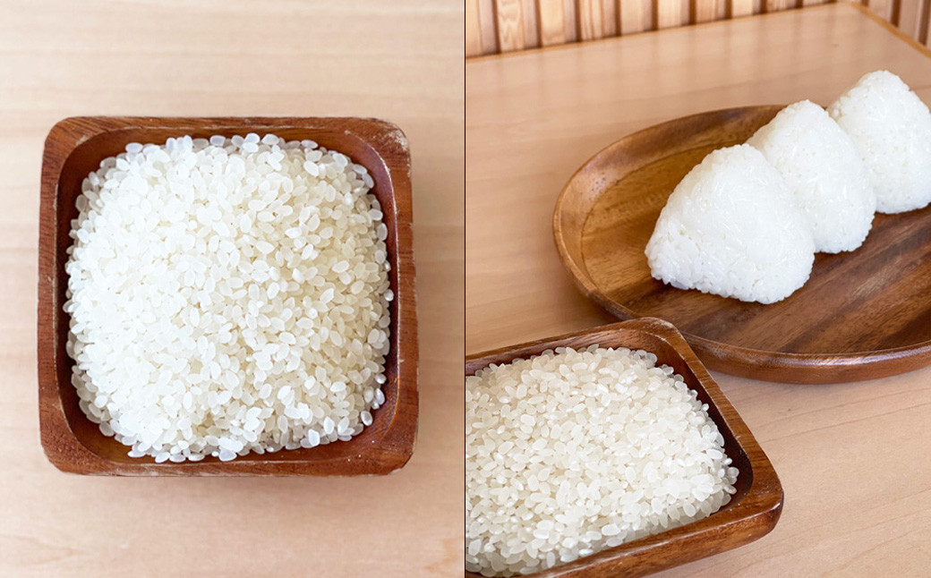 福岡県 香春町 採銅所産 夢つくし 5kg×2袋 計10kg 精米 白米 お米 HAN