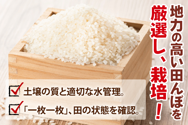 【先行予約】【3ヶ月定期便】令和7年産 阿見町産コシヒカリ　精米　2kg【お米 米 こしひかり ごはん 茨城県】（85-07）