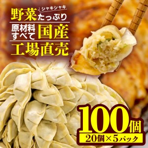 野菜 ぎょうざ 100個 小分け 冷凍 国産 ぎょうざ