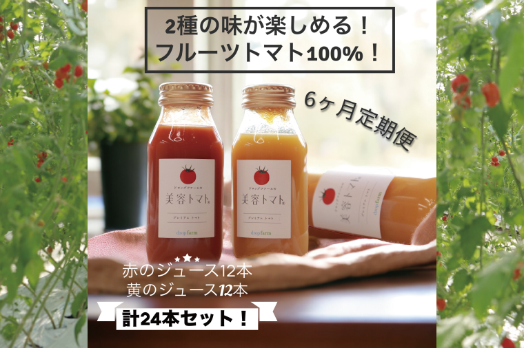 【6ヶ月定期便】ドロップファームの美容トマト(R)トマトジュースたっぷり24本セット【トマト とまと ブレンド イエローアイコ アイコ セット 野菜ジュース 野菜 やさい 健康 水戸市 茨城県】（CK