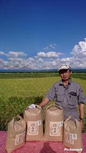 令和7年度産 體力米(たいりょくまい)コシヒカリ 玄米 5kg | 米 新米 ブランド米 栃木県 大田原市