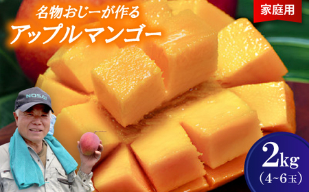 【2026年7月から順次発送・家庭用】名物おじーが作るアップルマンゴー2kg(4～6玉)【配送不可地域：離島】【1694654】