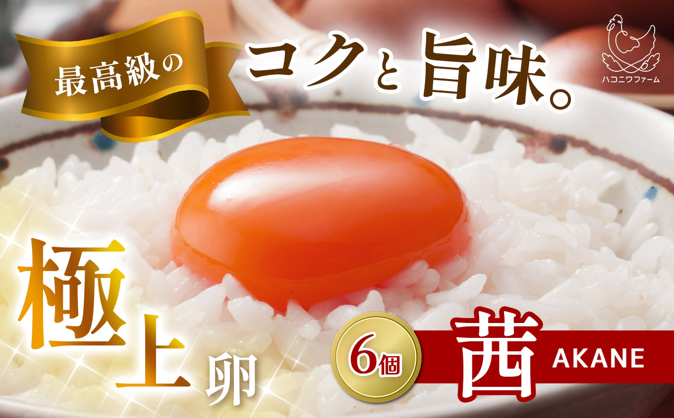 
テレビで紹介！見た目も旨みも想像以上・箱庭たまご「茜」６個 真岡市 栃木県 送料無料
