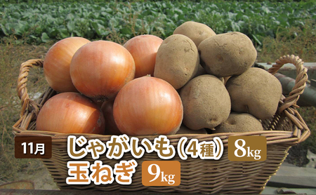 【先行予約】十勝幕別 北の畑のオーナーさん 人気の旬野菜 年3回定期便［2027年5月出荷開始］北海道ホープランド農場 【 アスパラ とうもろこし コーン じゃがいも ジャガイモ 玉ねぎ 野菜 定期便