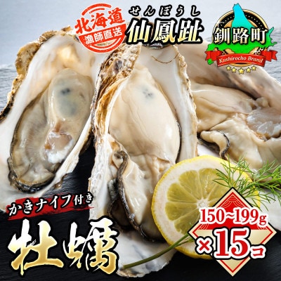 仙鳳趾名産 牡蠣 150～199g×13個+かきナイフ付K4-3【配送不可地域：離島・沖縄県・信越、北陸・東海・近畿・中国・四国・九州】