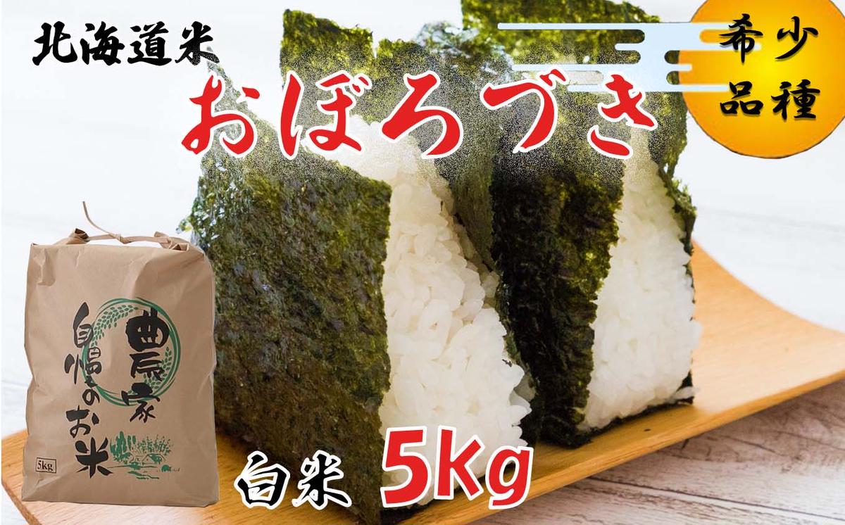 ＜ 10月中旬から順次発送 ＞ 新米 令和7年度産 北海道米 おぼろづき 白米 5kg 北海道 新ひだか町 ＜ 予約受付 ＞