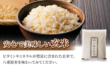 【太陽と大地】八重原産特別栽培米（減農薬・減化学肥料栽培）コシヒカリ（玄米）２kgと信州味噌「八重原味噌」５００gのセット