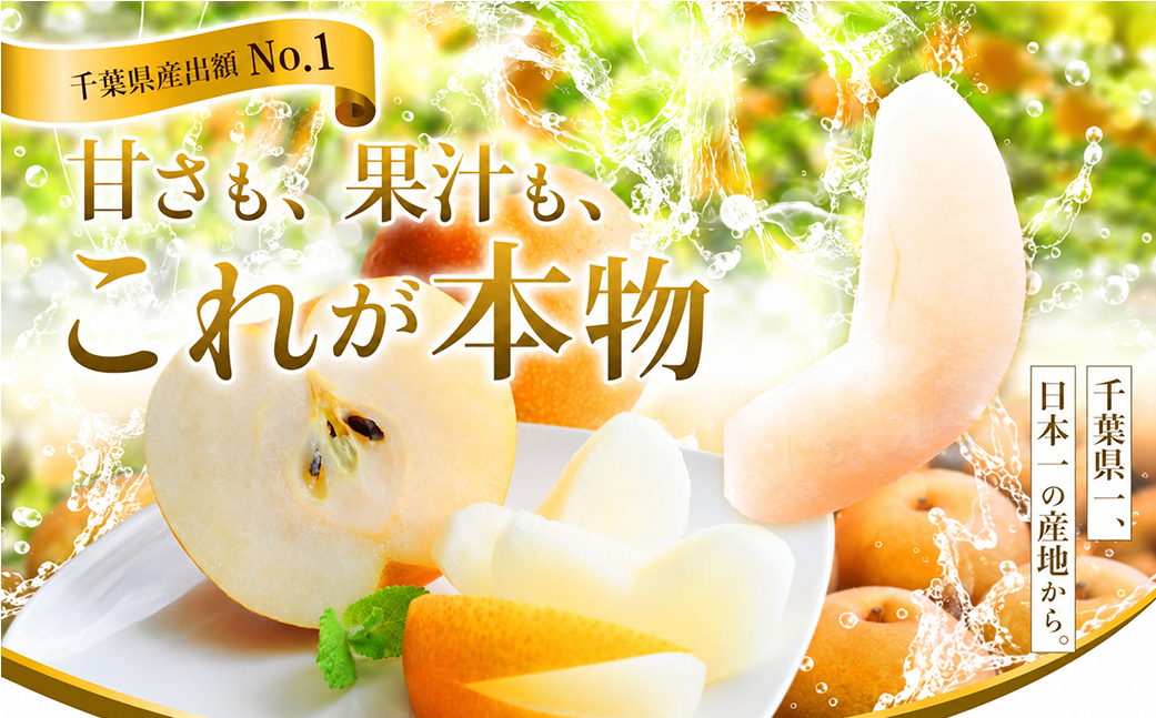【2027年発送先行予約】 幸水3kg 贈答用