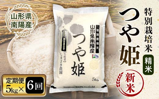 【令和8年産 新米 先行予約】 【米食味コンクール金賞受賞農園】 《定期便6回》 特別栽培米 つや姫 5kg×6か月 《令和8年10月中旬～発送》 『しまさき農園』 山形南陽産 米 白米 精米 ご飯 農家直送 山形県 南陽市 [2397-R8]