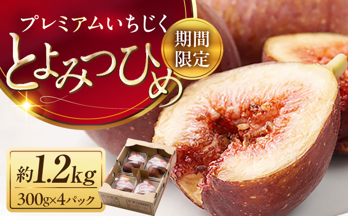 【先行予約】福岡産ブランド 無花果 とよみつひめ 約300g×4パック【2026年8月上旬～順次発送】《豊前市》【南国フルーツ株式会社】＜北海道・沖縄・離島配送不可＞いちじく フルーツ 季節 果物 [