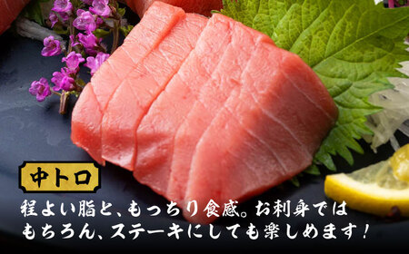 対馬産 本マグロ 700g（赤身400g、中トロ300g） ≪対馬市≫【桐谷商店】 トロの華 対馬 新鮮 マグロ トロ 鮪 刺身 鮮度抜群[WAQ047]