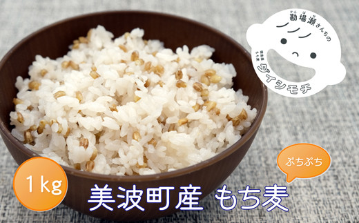 
美波町産「もち麦」と伊座利産「あらめ入佃煮」のセット（もち麦1kg+あらめ入佃煮6本）
