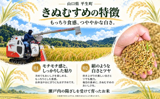 令和8年産 山口県産米 きぬむすめ 5kg 定期配送 4回 ｜定期便 定期発送 令和8年産 きぬむすめ 山口県産米 こめ お米 コメ 白米 米 新米 ごはん 弁当 おにぎり おむすび 朝食 ランチ 主