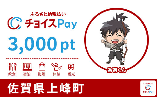 
            上峰町チョイスPay 3,000pt【会員限定のお礼の品】
          