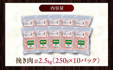 放牧豚 挽き肉 計2.5kg（250g×10）《厚真町》　【ファーマーズファクトリー株式会社】[AXBA123]