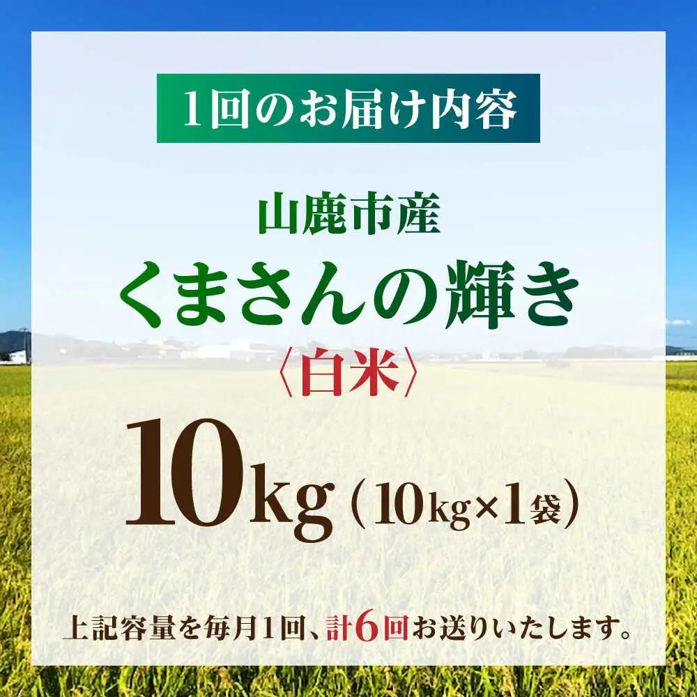 【先行予約】【6回定期便】くまさんの輝き 白米  10kg 山鹿市産【奥村果実園】[ZFK022]