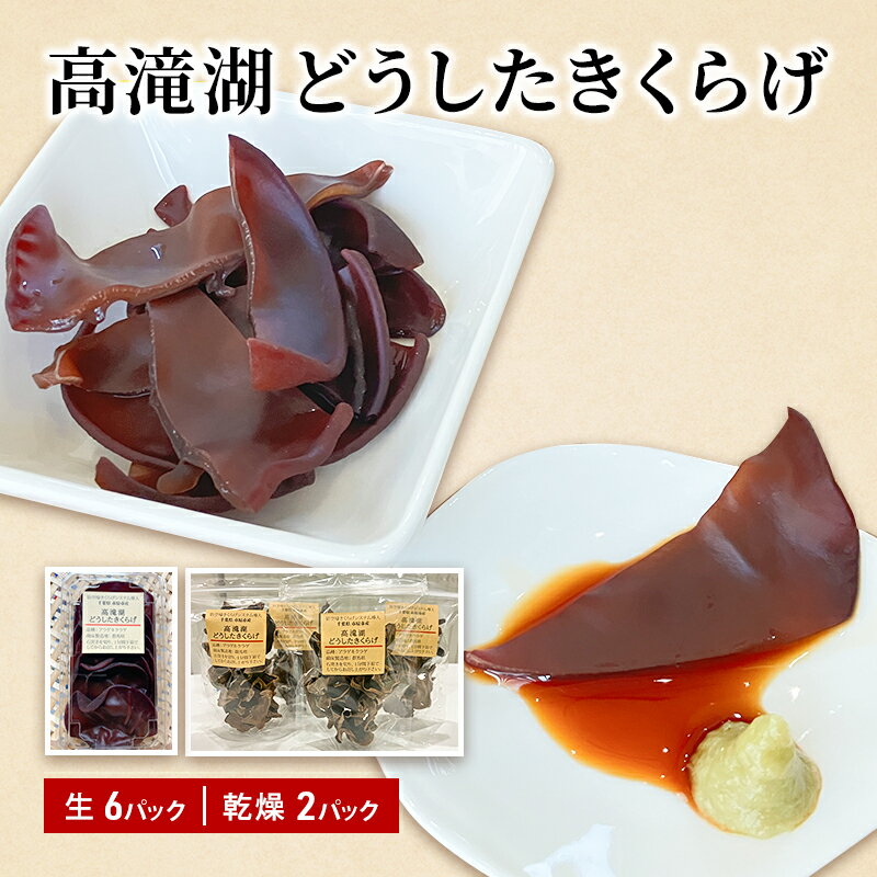 【ふるさと納税】高滝湖どうしたきくらげ　生6パック　乾燥2パック　防空壕きくらげシステム導入　 野菜 きのこ 生キクラゲ 乾燥キクラゲ 肉厚 食材 料理 調理 炒め物 スープ 国産 国産きくらげ