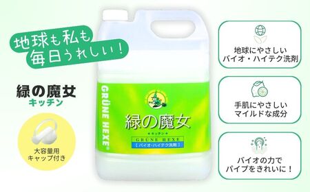＜2ヵ月毎定期便(全6回)＞食器用洗剤 緑の魔女キッチン5L×1本 | 台所洗剤 食器 キッチン