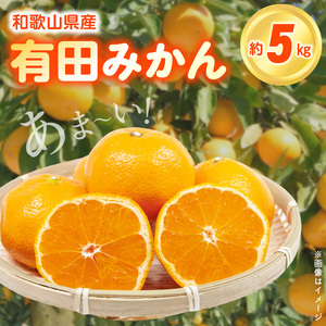 【2026年先行予約】こだわりの和歌山県産 有田みかん 5kg ひとつひとつ手選別で厳選！生産者から直送_ZN6007n