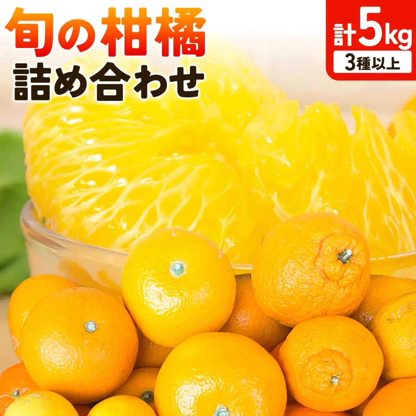 旬の柑橘 詰め合わせ 3種以上 サイズ混合 5kg エイワ商店