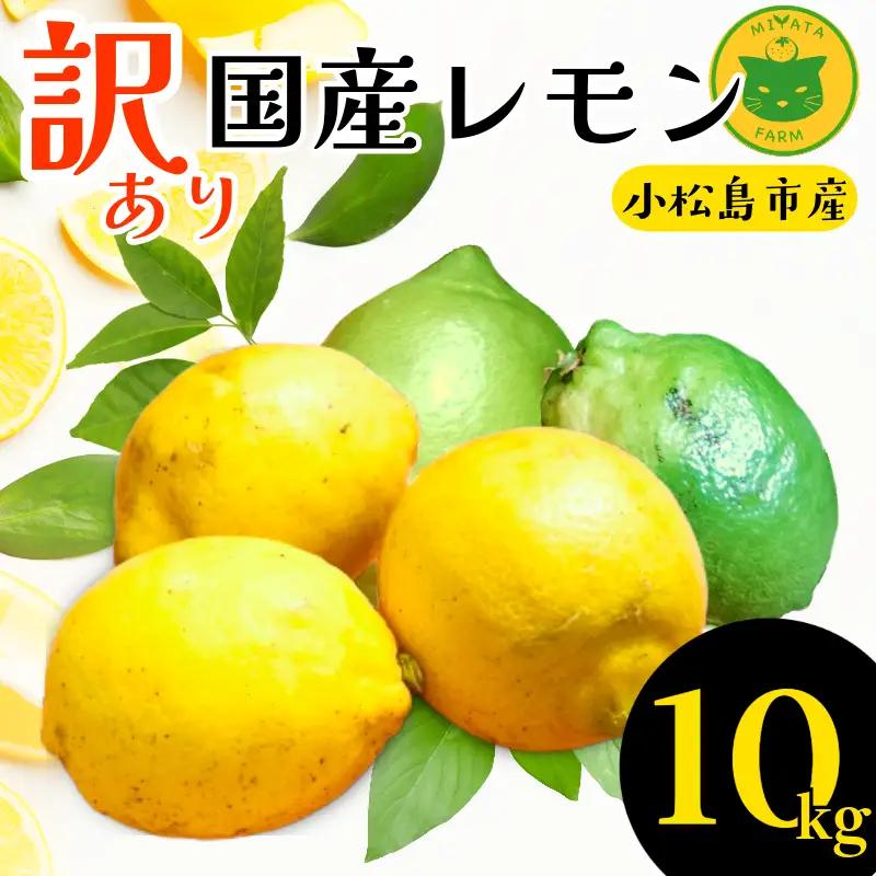 【2026年10月発送】訳あり レモン 10kg  国産 レモン