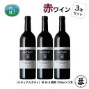 【ふるさと納税】 ワイン 赤ワイン 笹一酒造 OLIFANT マスカット・ベリーA 樽熟成 750ml×3本 ミディアムボディ 酒 お酒 アルコール 国産ワイン 食前酒 食中酒 ぶどう ブドウ 葡萄 プレゼント お祝い 記念日 ギフト 父の日 母の日 家呑み パーティー 送料無料 山梨県 西桂町