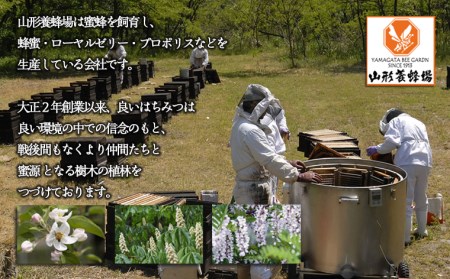 純粋蜂蜜 りんご蜜 500g FZ20-334