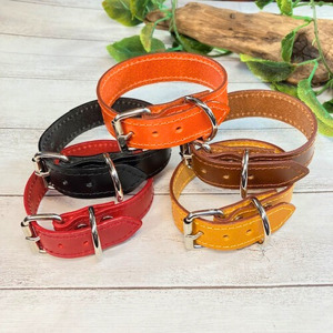 選べるサイズのイタリア本革犬首輪 (25mm幅) 小型/中型/大型 犬用首輪 犬 首輪 本革 Mサイズ黄色