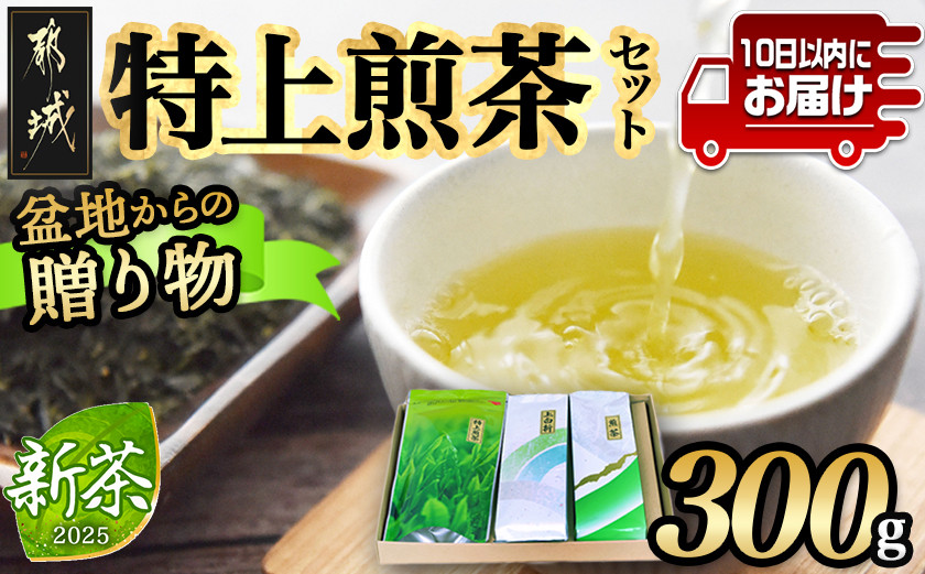 
盆地からの贈り物 特上煎茶セット≪みやこんじょ特急便≫_AA-4801-Q_(都城市) 茶葉 特上煎茶 上白折 煎茶 各100グラム お茶の産地 最高級品 一番茶 Green Tea 水出し ギフト 家庭用 日本茶
