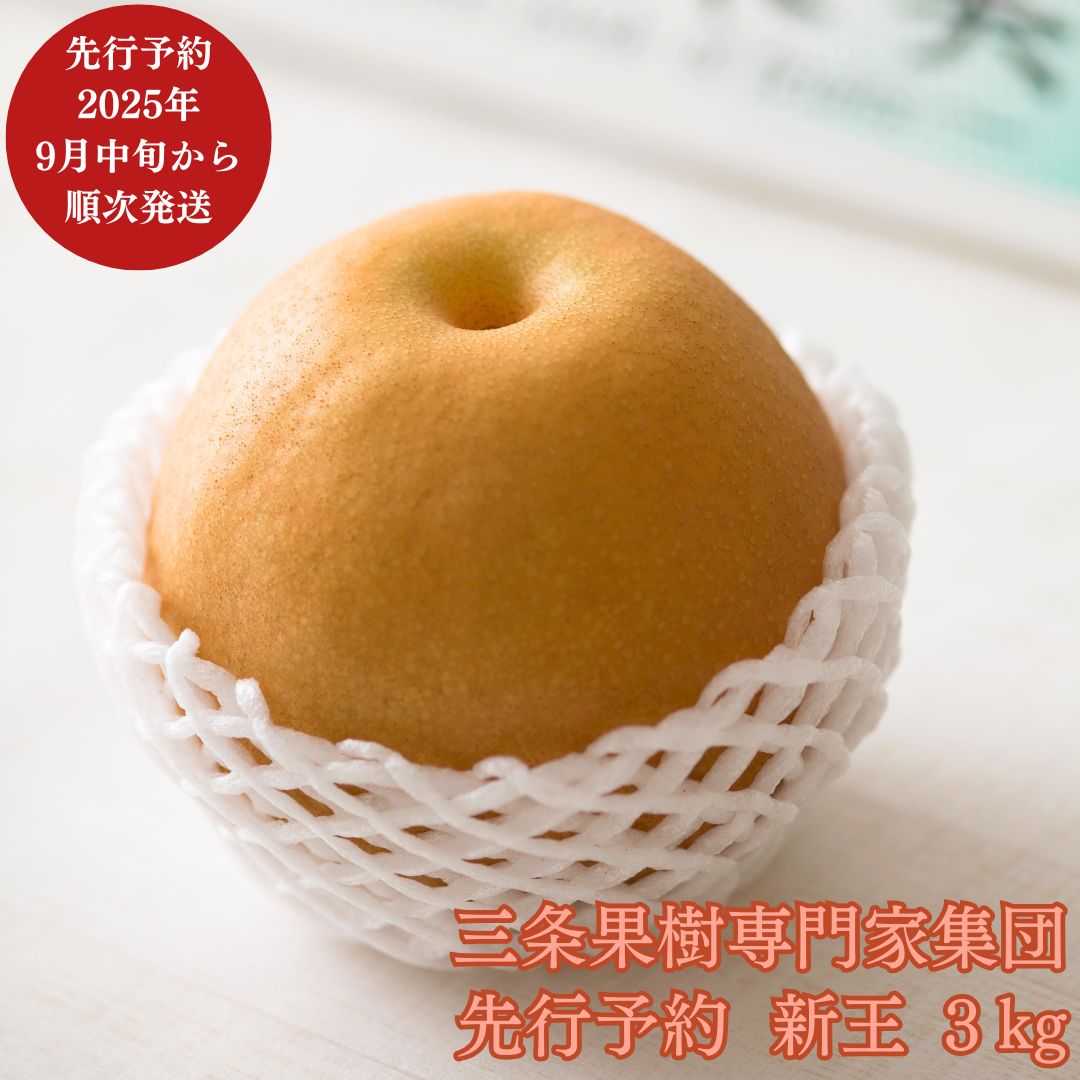 【ふるさと納税】先行予約 新潟オリジナル和梨 新王 約3kg [9月中旬から発送予定] 令和7年度 新潟県 三条市産 [三条果樹専門家集団]【016P041】