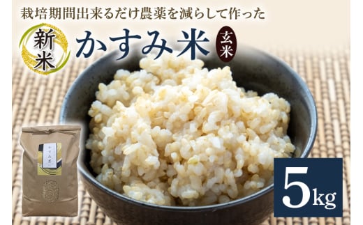令和7年産新米 玄米 5kg 栽培期間出来るだけ農薬を減らして作った「かすみ米」 茨城県産 コシヒカリ 米 お米 ご飯 ごはん 低農薬 しめじ菌床活用 甘み豊か 粘土質土壌育ち 健康志向 自然栽培 産地直送 贈答用 ギフト 茨城県 潮来市 (A03-008)