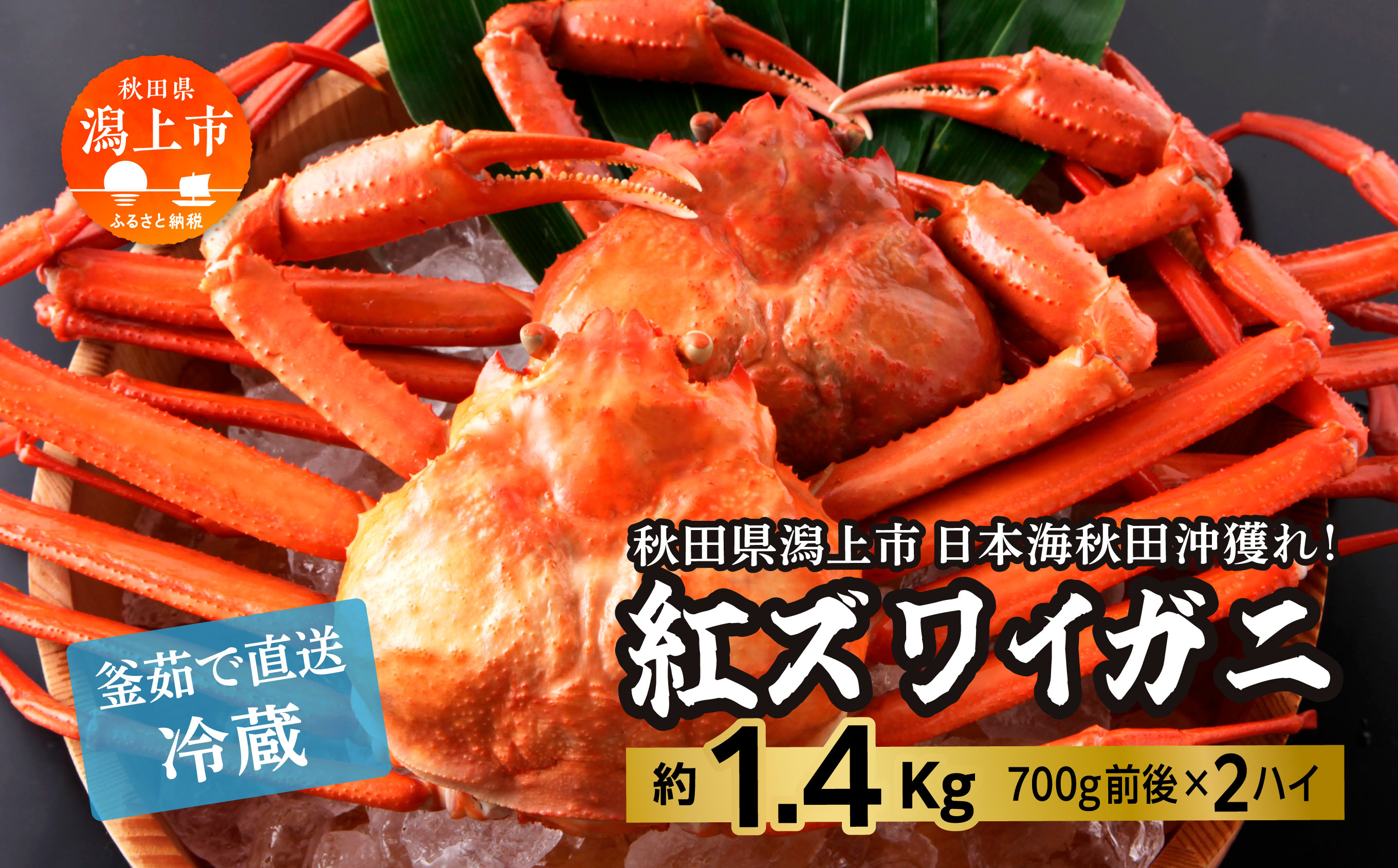 日本海沖産 紅ズワイガニ700g前後×2匹 約1.4kg/冷蔵 冷蔵 ズワイガニ 2匹 約 1.4kg 紅ズワイガニ ベニズワイガニ ずわい ズワイ蟹 ずわいがに ずわい蟹 姿 ボイル 訳あり 蟹 カニ かに 国産 蟹 不揃い 傷 緊急 カニみそ入り 潟上市