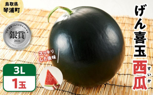 【先行予約 2026年6月下旬以降発送】 大玉 スイカ げん喜玉 西瓜 3Ｌ（1玉）【すいか スイカ 西瓜 産地直送 夏 旬 果物 くだもの フルーツ 甘い 国産 鳥取県産 2026年産 令和8年産 
