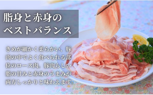 【6回定期便 総計6.0kg！真空個包装で便利】ありたぶた ロー