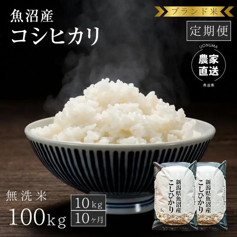 【定期便：無洗米10kg×10ヶ月】ブランド米    魚沼産コシヒカリ 米 こしひかり 新潟 定期