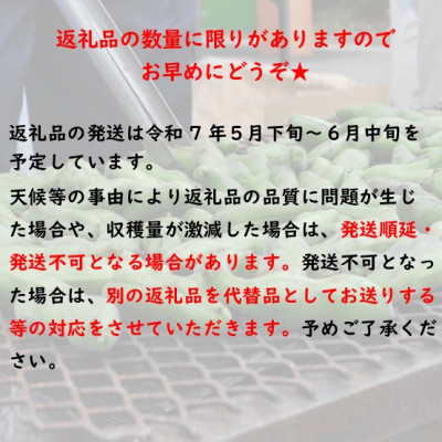 【先行受付2025年】そらまめ 約4kg Mサイズ 宮城県村田町産【配送不可地域：離島】