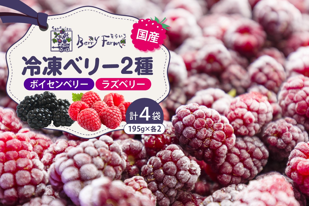 
                  冷凍ベリー2種セット 詰め合わせ おやつ 冷凍食品 そらいろ Berry Farm提供 山形県 東根市 hi094-002
                