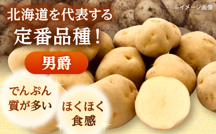 【2026年10月中旬以降順次発送】 じゃがいも 男爵（まっかりじゃが）10kg | じゃがいも ジャガイモ 男爵 男爵芋 野菜 北海道 産地直送 | 道の駅 真狩フラワーセンター [BPAM024]