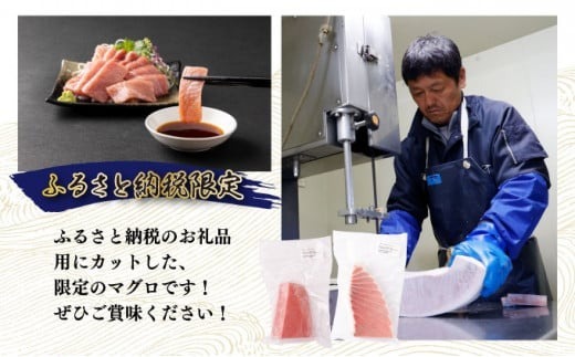 船元が直送! 厳選 天然 本マグロ 中トロたっぷりセット 約600g | 中トロ 400g 赤身 200g | 本鮪 本まぐろ クロマグロ 魚 惣菜 まぐろ ワケアリ わけあり 訳あり 中とろ あかみ 刺身 さしみ 刺し身 冷凍 漬け 海鮮 丼 父の日 高知県 室戸市