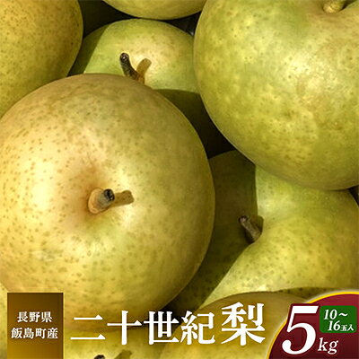 【ふるさと納税】二十世紀梨 5kg 長野県飯島町産【1631988】