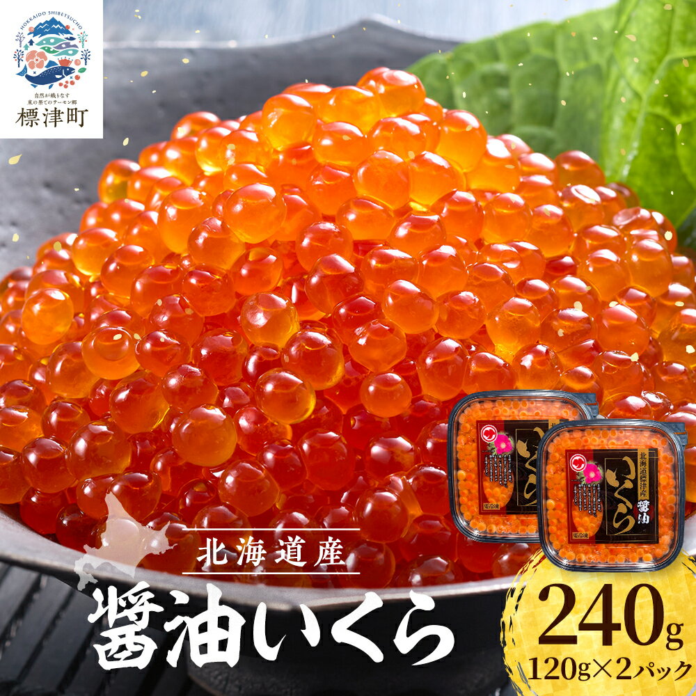 【ふるさと納税】【令和7年新物】鮭 醤油 いくら 120g×2パック 北海道産 醤油漬け サケ 小分け【配送不可地域：離島】【1693876】
