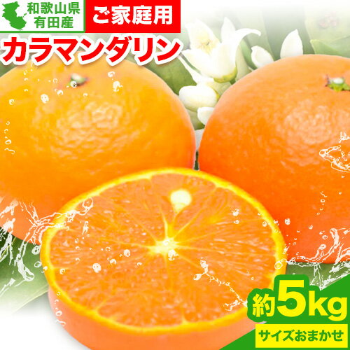 【ふるさと納税】【ご家庭用】【濃厚春みかん】和歌山県 有田産 カラマンダリン 約5kg ( サイズおまかせ ) 厳選館 《2026年4月上旬-5月中旬頃出荷》 和歌山県 日高町 送料無料 柑橘 柑橘類 オレンジ みかん 蜜柑