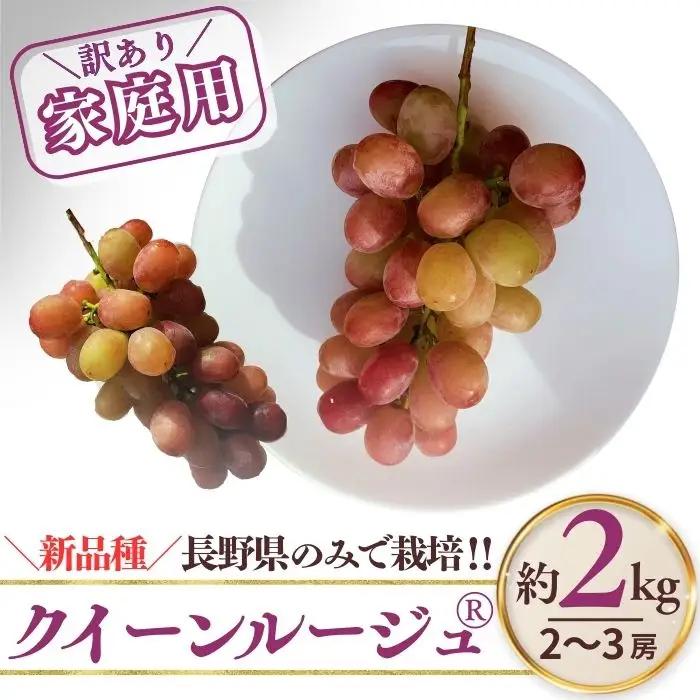 訳あり クイーンルージュ®  約2kg（4~6房）※最低1.8kg以上｜ ぶどう