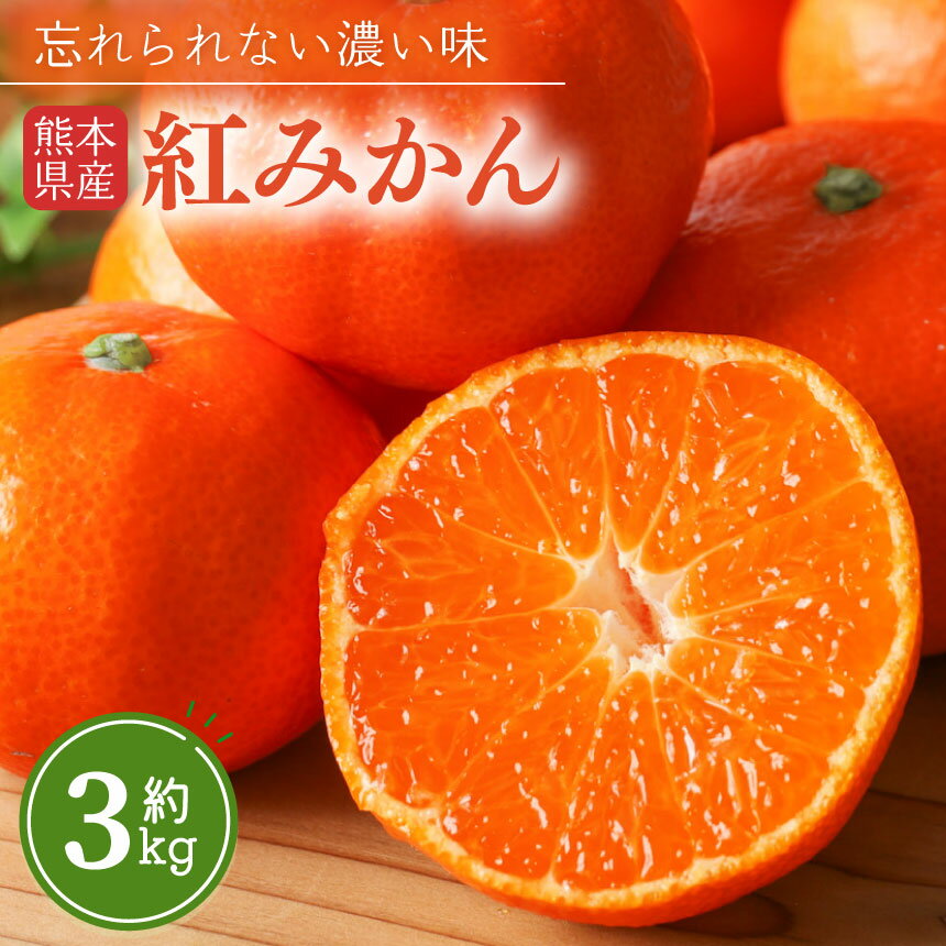 【ふるさと納税】 こだわり 紅みかん 柑橘 ミカン 3kg | 果物 くだもの フルーツ 柑橘 柑橘類 みかん 玉名 熊本 下田農園 生産者直送 産地直送 熊本玉名 送料無料