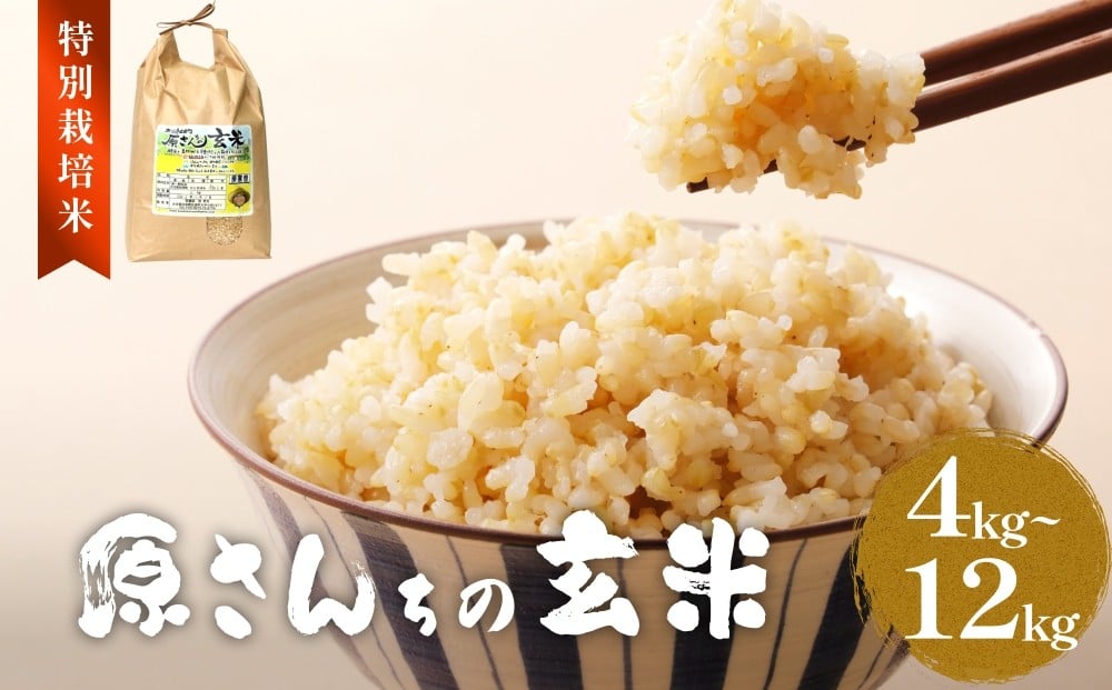 
            令和7年度産 原さんちの玄米 玄米 選べる 合計 4kg - 12kg ヒノヒカリ 有機質肥料 特別栽培米 原農園 完熟堆肥 アートテン農法 抗酸化農法 有効微生物農法 光合成 体に良い 美味しい お米 安全 清潔 環境に優しい 栄養価 高品質 産地直送 健康志向 定期便
          