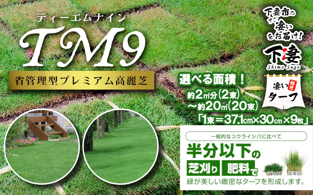 
                  【先行予約】《選べる面積》2㎡～20㎡分 省管理型プレミアム高麗芝 「TM9（芝生）」コウライシバ ティーエムナイン 【2027年3月下旬頃から出荷予定】TOYOTA トヨタ 省管理型プレミアム高麗芝 TM9 芝生  ターフ TURF 天然芝 しば ガーデニング 家庭用 庭 手入れ楽 簡単 植物 プラント 人気 おすすめ 送料無料 茨城県 下妻市
                