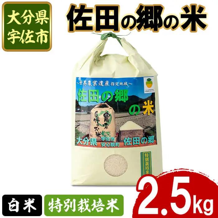 ＜令和7年産＞佐田の郷の米 特別栽培米(2.5kg)お米 白米 ごはん ヒノヒカリ ひのひかり ブランド米 常温 常温保存【111701100】【雅設置プロジェクト　佐田の郷の会】
